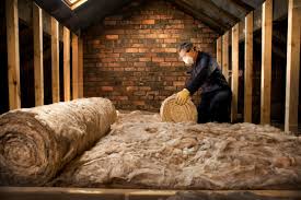 Best Eco-Friendly or Green Insulation Solutions  in Trophy Clu, TX