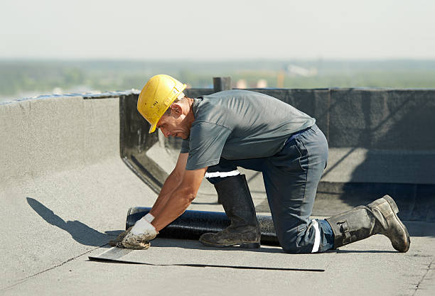 Best Attic Insulation Installation  in Trophy Clu, TX