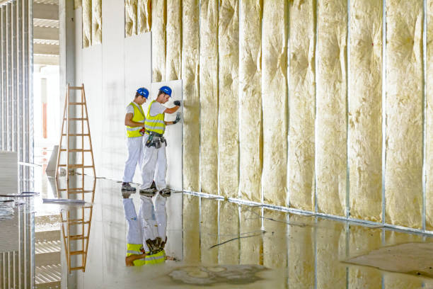 Best Wall Insulation Installation  in Trophy Clu, TX